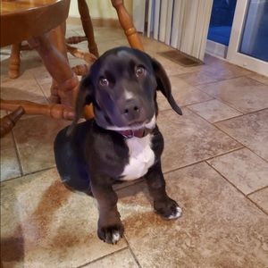 Meet your Posher, Jaclyn